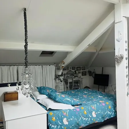 Maison De Pecheur Atypique *