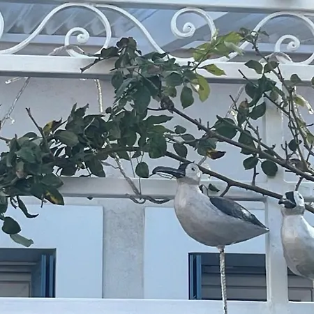 Maison De Pecheur Atypique *